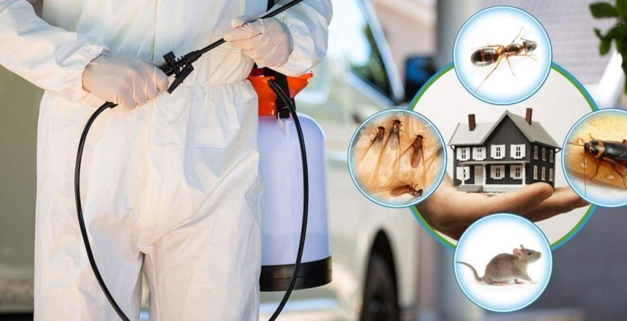 Pozantı Böcek İlaçlama