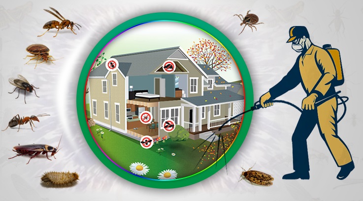 Pozantı Böcek İlaçlama