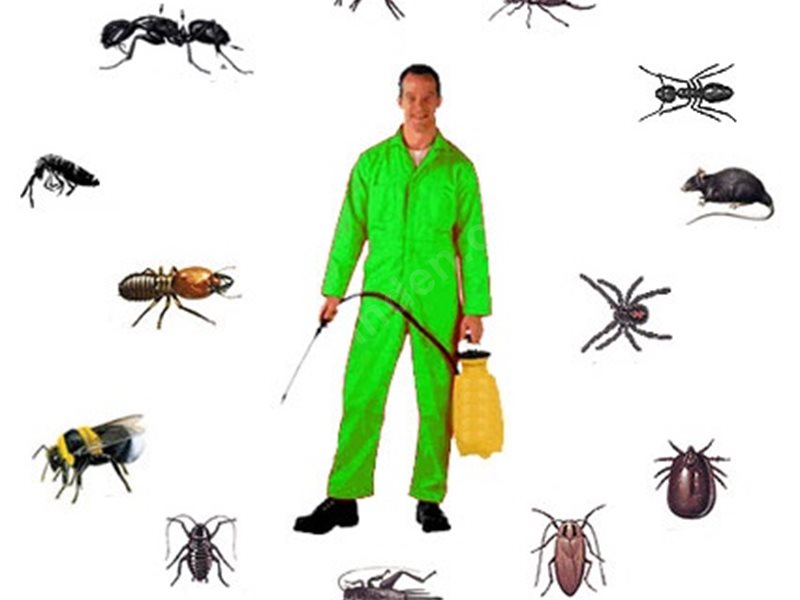 Pozantı Böcek İlaçlama